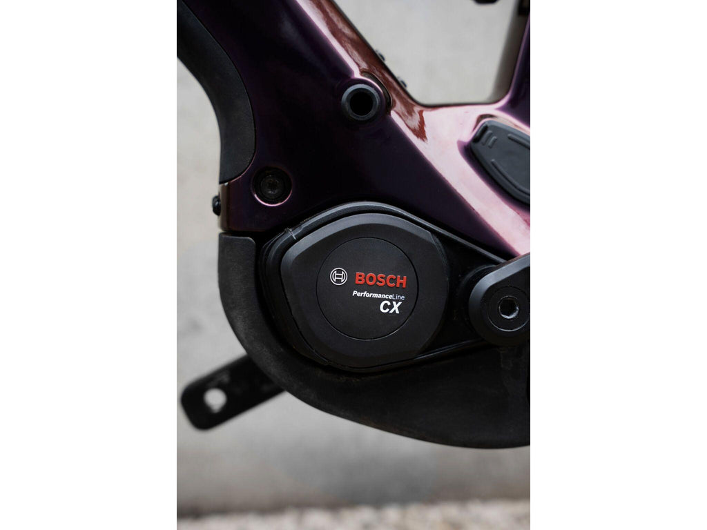 Ridley E-Kanzo Adventure Apex
