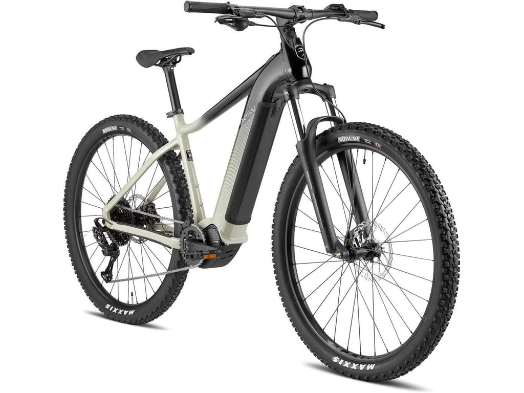 BESV TRX 1.3